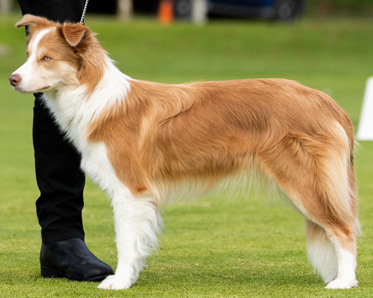 Lilkira-Kiki-Our-Girls